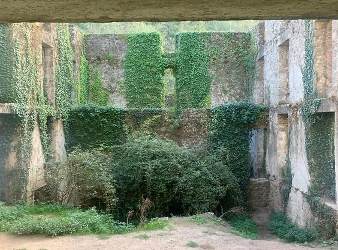 La De Piquet * Le Tablier